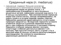 Срединный нерв (п. medianus)