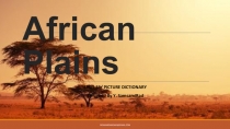 African Plains