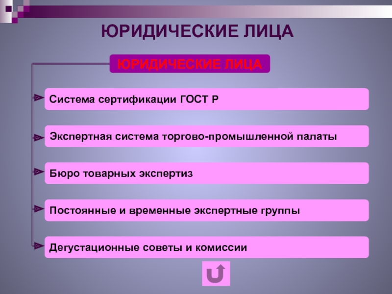 Субъекты экспертизы. Временные и постоянные юридические лица. 15. Объекты и субъекты соц экспертизы.