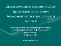 Диагностика, клинические признаки и лечение болезней сетчатки собак и кошек