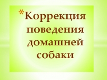 Коррекция поведения домашней собаки