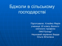 Бджоли в сільському господарстві