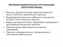 МОРФОФУНКЦИОНАЛЬНАЯ ОРГАНИЗАЦИЯ СКЕЛЕТНЫХ МЫШЦ
