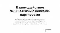 Взаимодействие Na +,K + - ATP азы с белками-партнерами