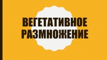 Вегетативное размножение