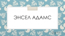 Э нсел Адамс