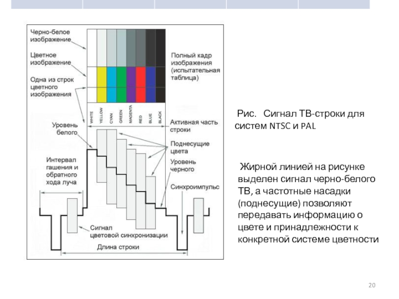 Уровень белой. Форма полного цветного ТВ сигнала системы SECAM. ПЦТС полный телевизионный сигнал. Сигнал цветности Pal. Частоты видеосигнала для телевизора.