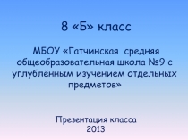 8 Б класс МБОУ Гатчинская средняя общеобразовательная школа №9 с углублённым