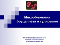 Микробиология бруцеллёза и туляремии