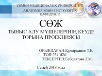 СӨЖ ТЫНЫС АЛУ МҮШЕЛЕРІНІҢ КЕУДЕ ТОРЫНА ПРОЕКЦИЯСЫ ОРЫНДАҒАН:Құмарқанов Т.Е