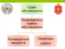 Презентация структура