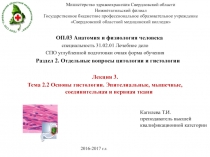 Министерство здравоохранения Свердловской области Нижнетагильский филиал