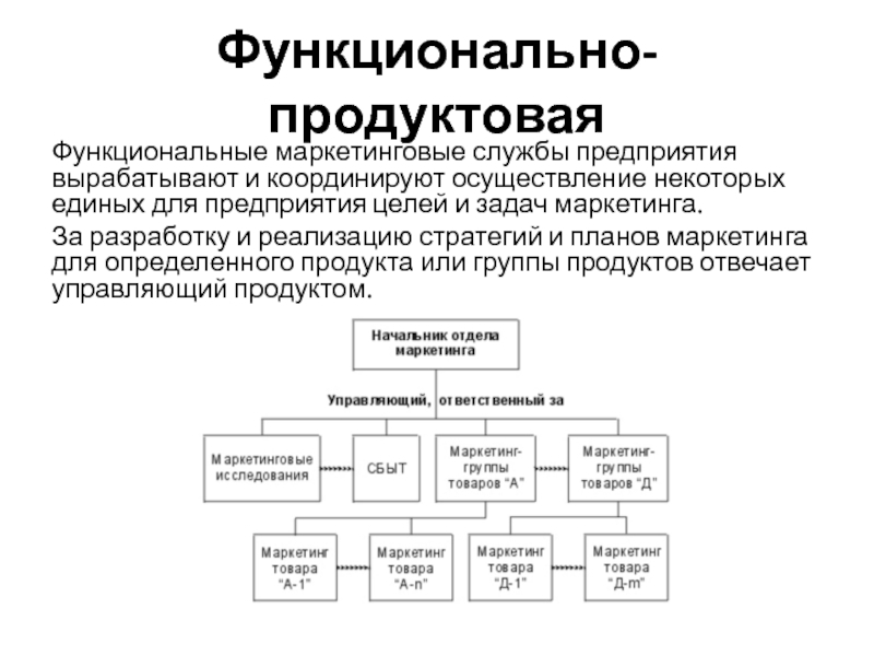 Функциональные предприятия. Функциональная организация службы маркетинга. Цели службы маркетинга. Цели и задачи маркетинговых служб на предприятии. Задачи руководителя маркетинговой службы.