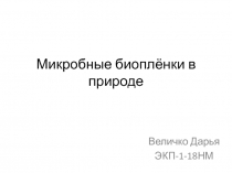 Микробные биоплёнки в природе
