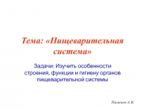 Тема: Пищеварительная система