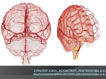 Куратор: к.м.Н., ассистент, Локтионова А.И. выполнила:врач-интерн джабраилова