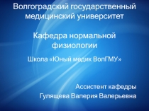 Волгоградский государственный медицинский университет Кафедра нормальной