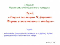 Глава Х I. Механизмы эволюционного процесса
Пименов А.В.
Тема:
Теория эволюции