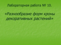 Лабораторная работа № 10.  Разнообразие форм кроны декоративных растений