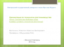 Презентация по технологии растениеводства Тема. Семейство бобовых трав. Клевер