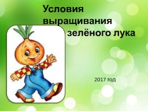 2017 год
Условия выращивания
зелёного лука