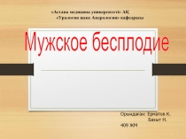 Мужское бесплодие
Ор ындаған: Ерматов К.
Бахыт Н.
409 ЖМ
Астана медицина