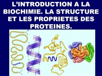 L’INTRODUCTION A LA BIOCHIMIE. LA STRUCTURE ET LES PROPRIETES DES PROTEINES