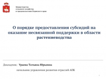 О порядке предоставления субсидий на оказание несвязанной поддержки в области