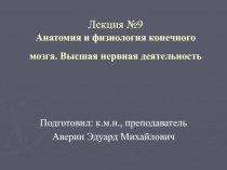 Лекция №9 Анатомия и физиология конечного мозга. Высшая нервная деятельность