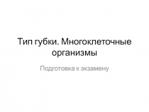 Тип губки. Многоклеточные организмы