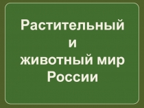 Растительный
и
животный мир России