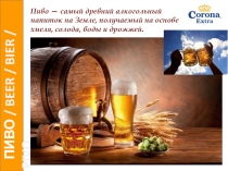 ПИВО / BEER / BIER / PIVO
Пиво — самый древний алкогольный напиток на Земле,