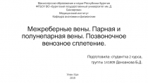 Межреберные вены. Парная и полунепарная вены. Позвоночное венозное сплетение