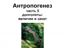 Антропогенез часть 5 долгопяты: величие и закат