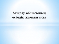 Атырау облысыны ң өсімдік жамылғысы