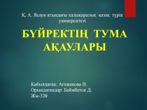 Бүйректің тума ақаулары
Қабылдаған: Атажанова В.
Орындағандар : Баймбетов