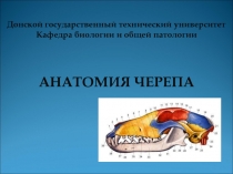 Донской государственный технический университет
Кафедра биологии и общей