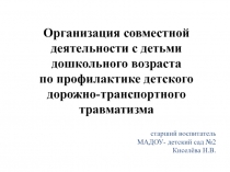 Организация совместной деятельности с детьми дошкольного возраста по