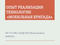 ОПЫТ РЕАЛИЗАЦИИ ТЕХНОЛОГИИ МОБИЛЬНАЯ БРИГАДА