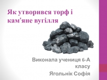 Як утворився торф і кам ’ яне вугілля