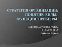 Стратегия организации: понятие, виды, функции, примеры