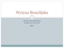 Wyżyna Brazylijska