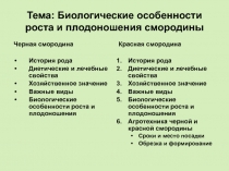 Тема: Биологические особенности роста и плодоношения смородины