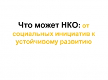 Что может НКО: от социальных инициатив к устойчивому развитию