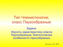 Тип Членистоногие, класс Паукообразные