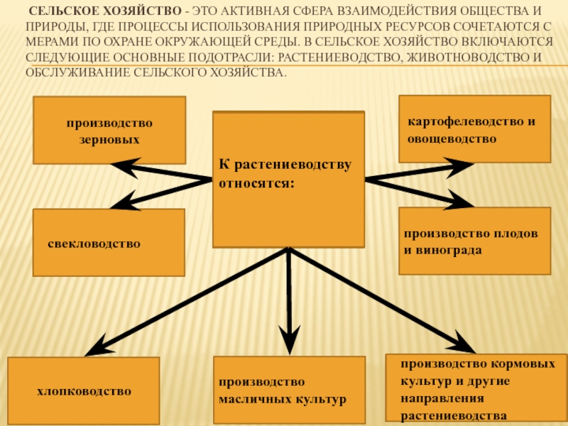 План взаимосвязь сфер общества