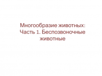 Многообразие животных: Часть 1. Беспозвоночные животные