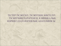 Тістер тісжегісі. Тісжегінің жіктелуі. Тісжегінің патогенезі, клиникалық