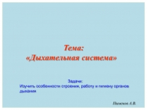 Пименов А.В.
Тема: Дыхательная система
Задачи:
Изучить особенности строения,