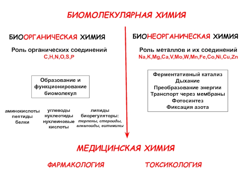 Регуляторы биомолекулярных процессов 11 класс презентация